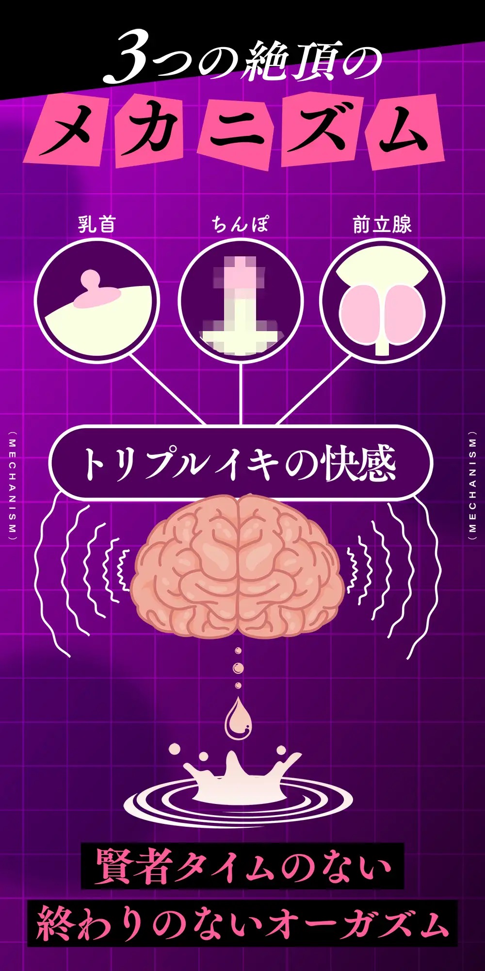 ゼロから始める乳首イキ習得術！「乳首イキの解説図」