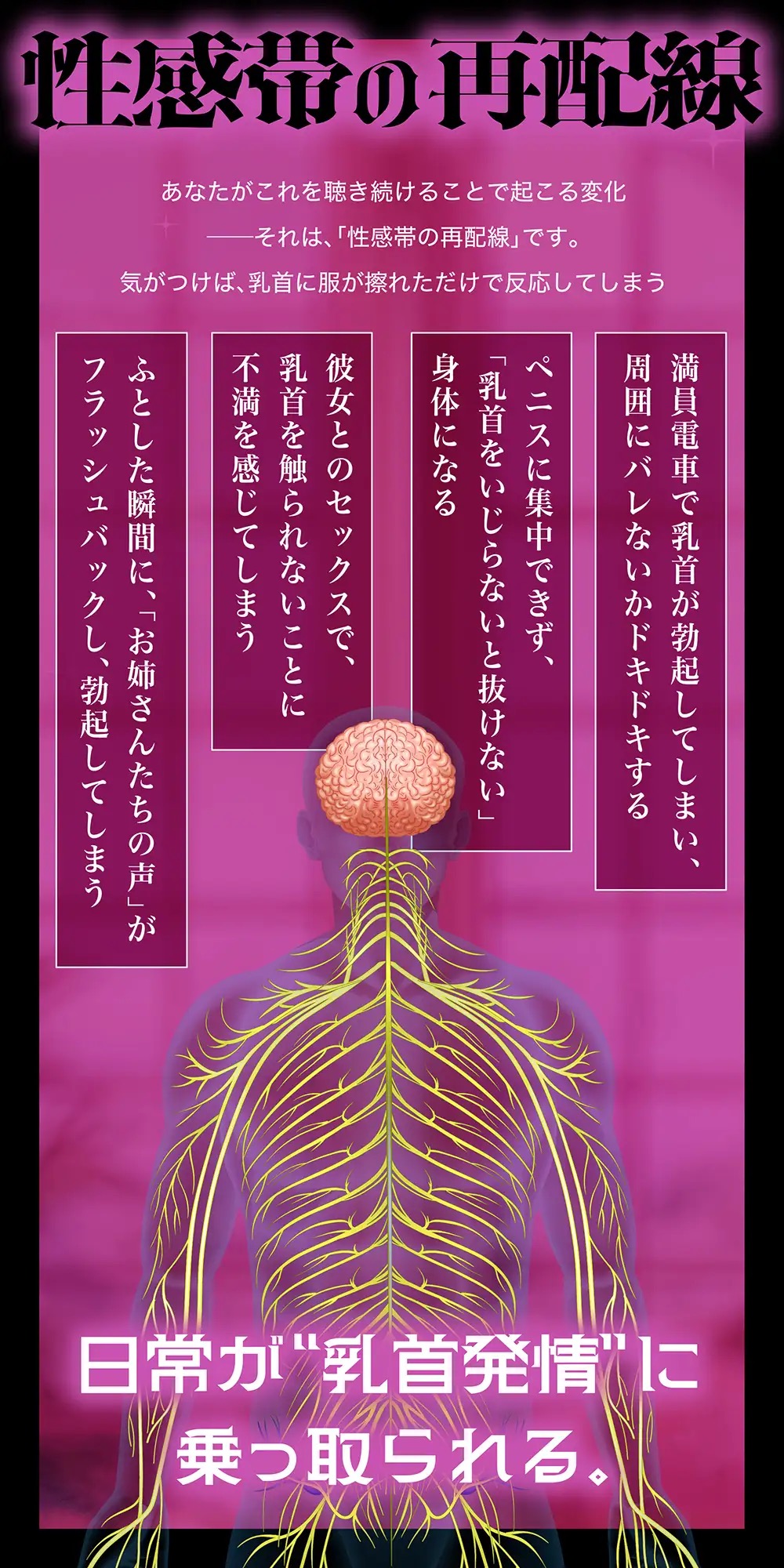 性感帯の再配線