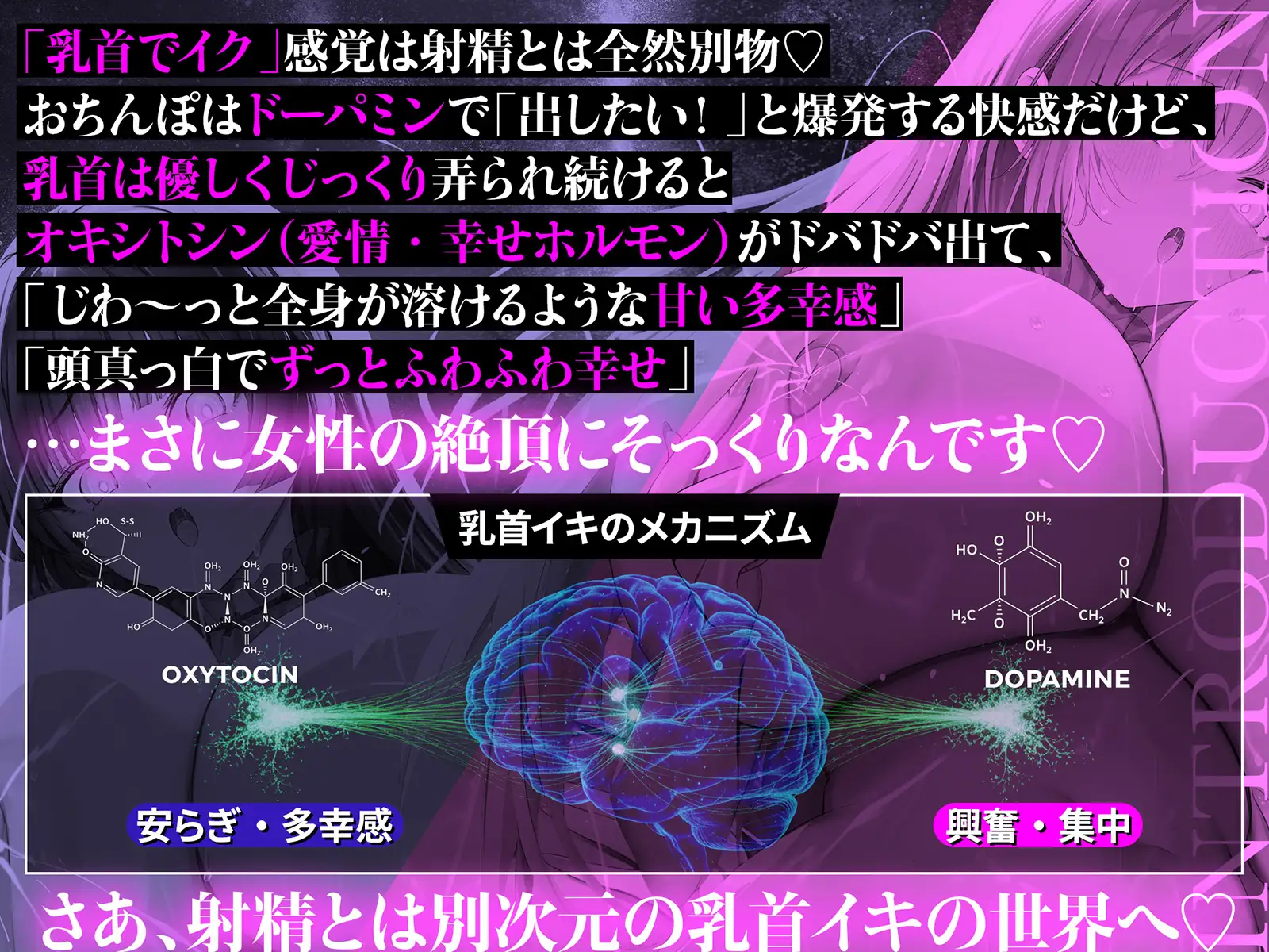 「乳首で【イク】!メソッド」の特徴